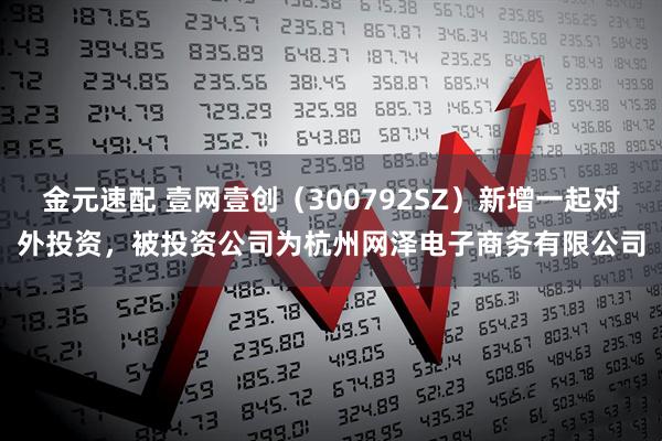 金元速配 壹网壹创（300792SZ）新增一起对外投资，被投资公司为杭州网泽电子商务有限公司
