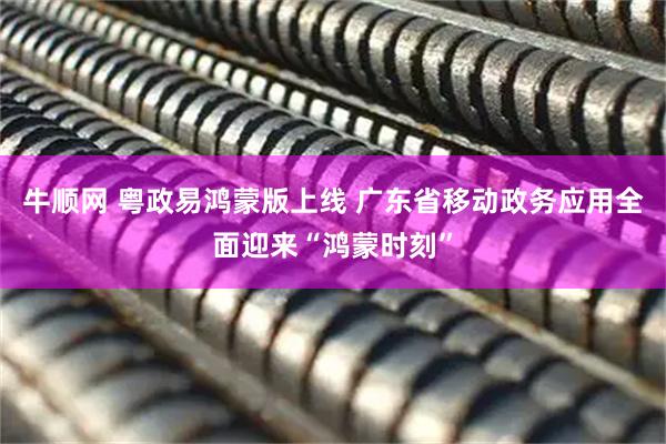 牛顺网 粤政易鸿蒙版上线 广东省移动政务应用全面迎来“鸿蒙时刻”