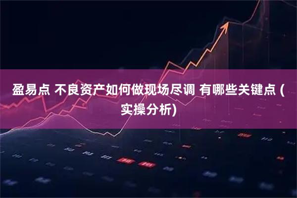 盈易点 不良资产如何做现场尽调 有哪些关键点 (实操分析)